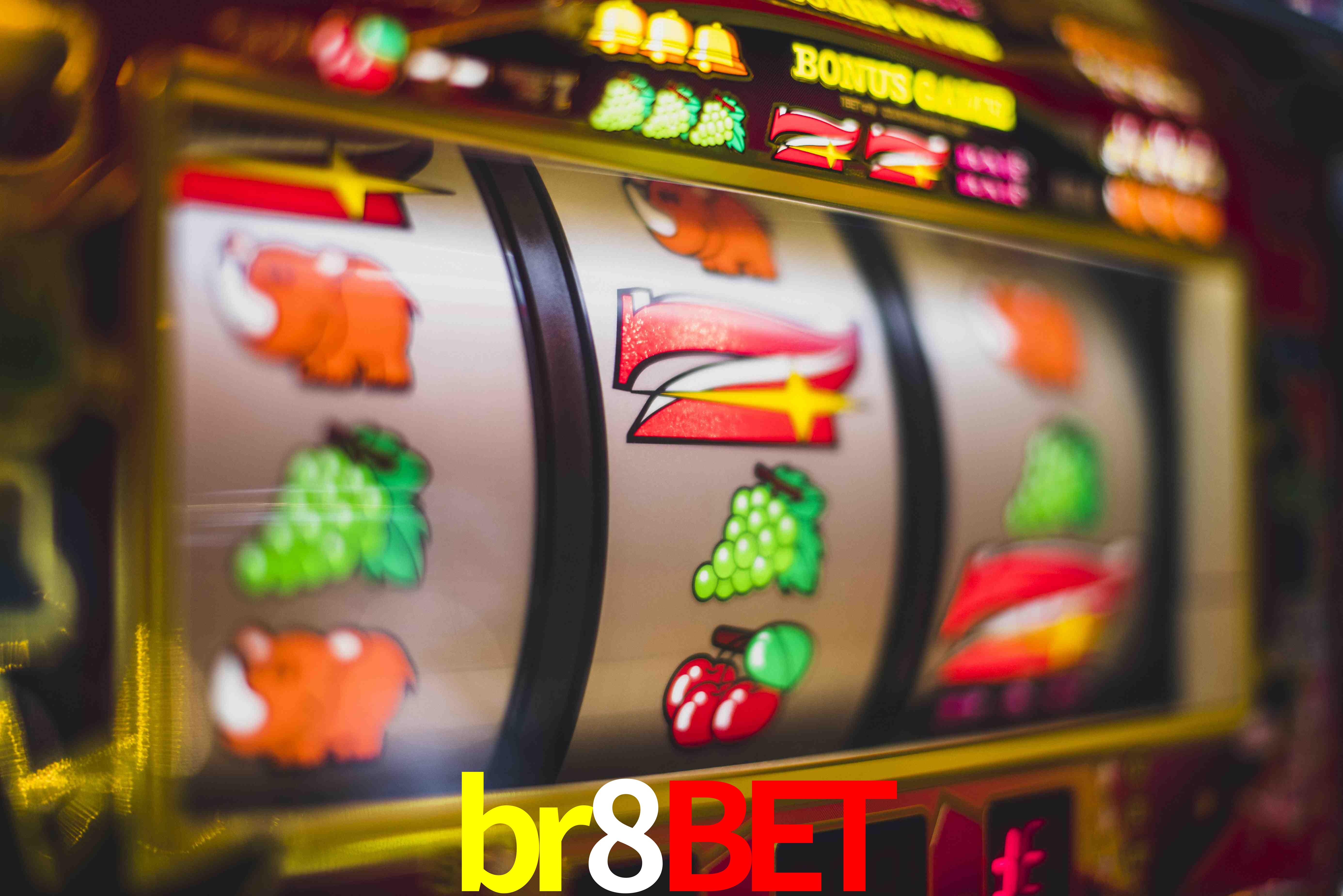 Live Casino br8bet