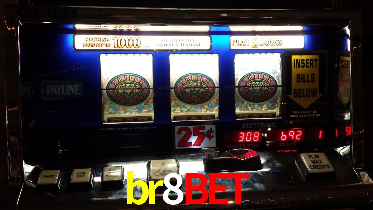 VIP Casino br8bet